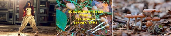 крисы Карпинск