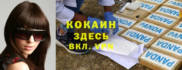 крисы Карпинск