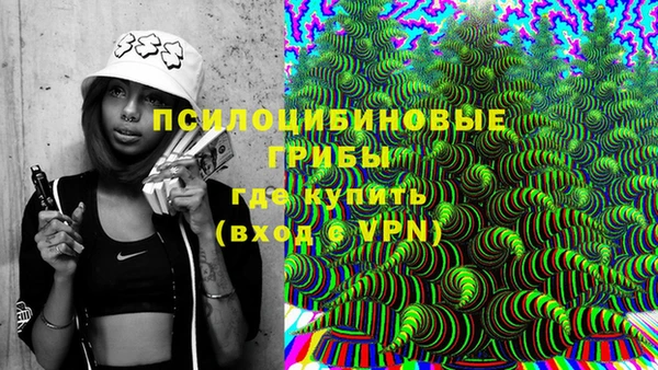молекула духа Касимов